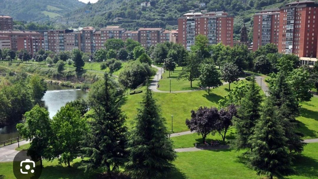 Bonito Apartamento En Zamakola Bilbao Bagian luar foto