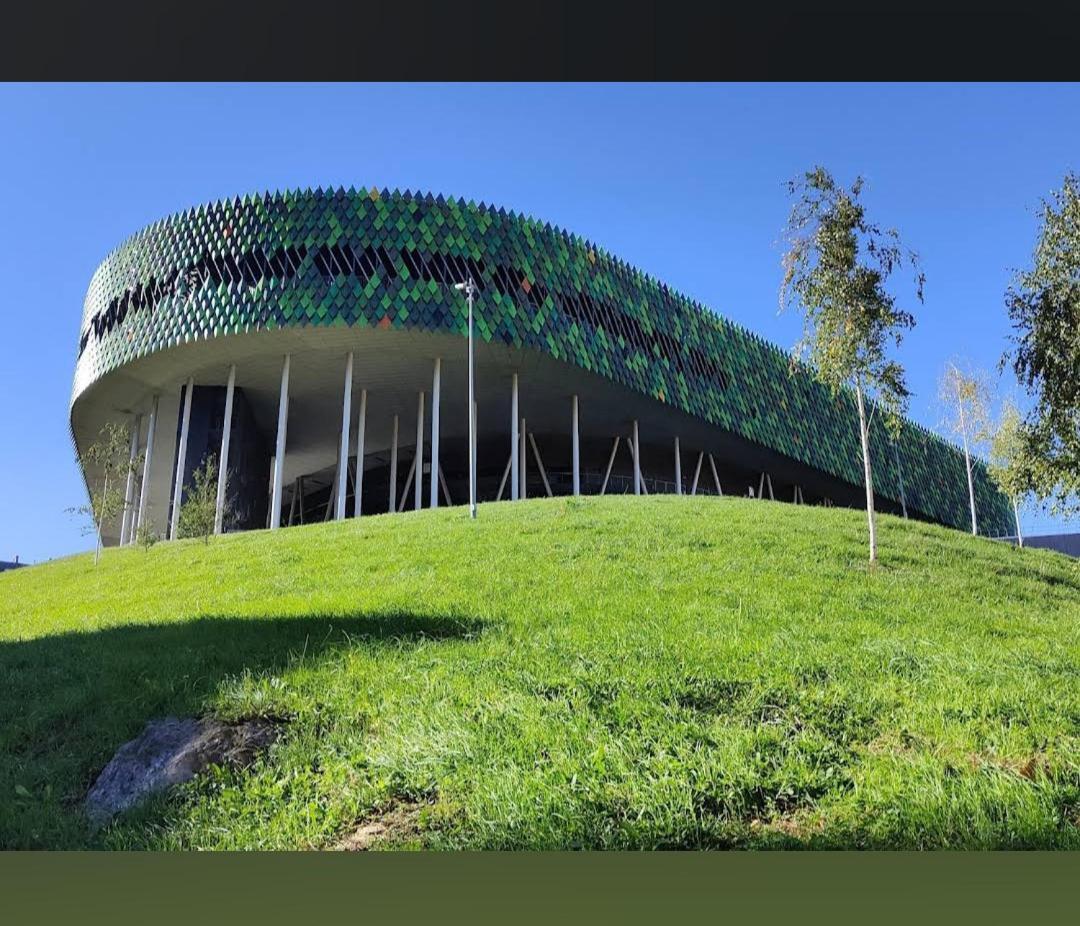 Bonito Apartamento En Zamakola Bilbao Bagian luar foto
